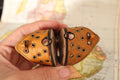 Classic Round Side Shield Tanzania